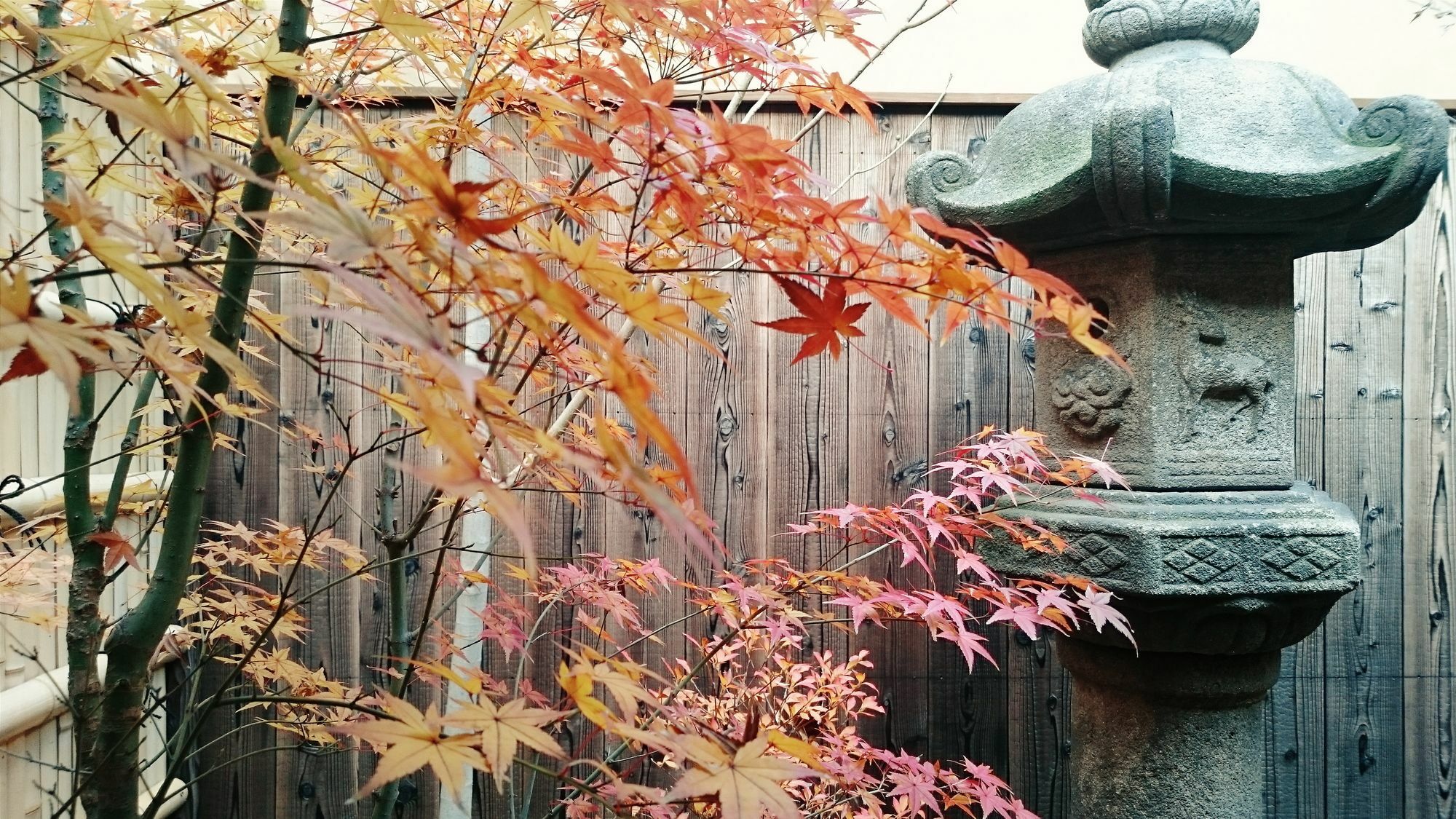 Guest House Bokuyado Kyoto Ngoại thất bức ảnh