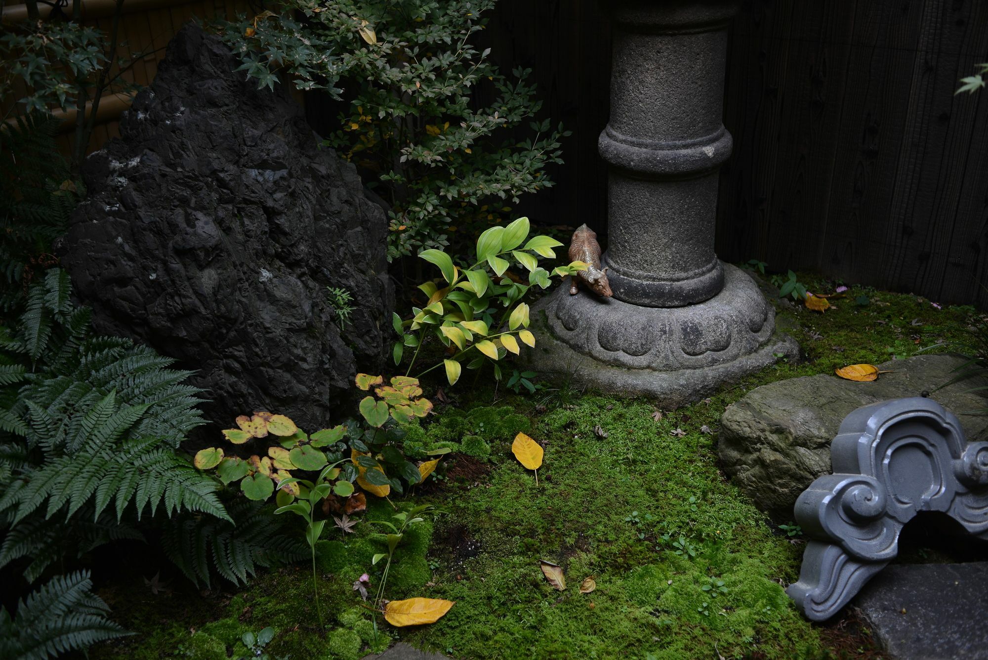 Guest House Bokuyado Kyoto Ngoại thất bức ảnh